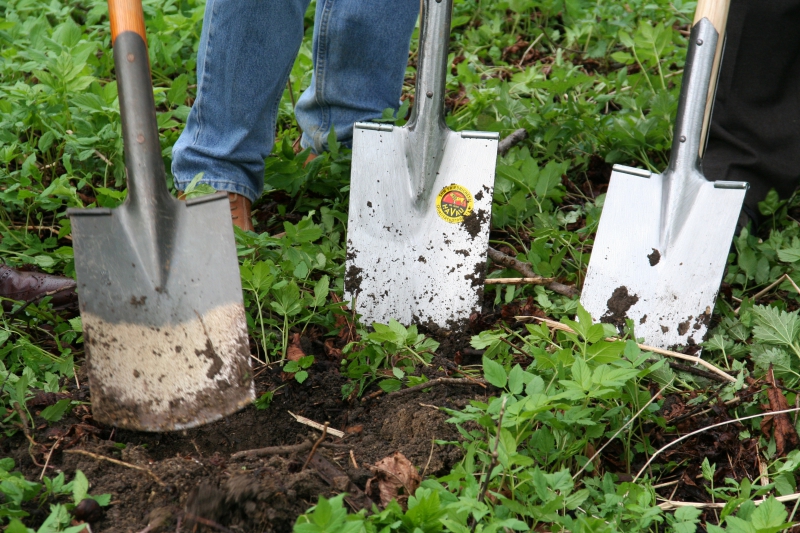 pepiniere-VALLAURIS-min_work-lawn-flower-tool-green-backyard-1103633-pxhere.com